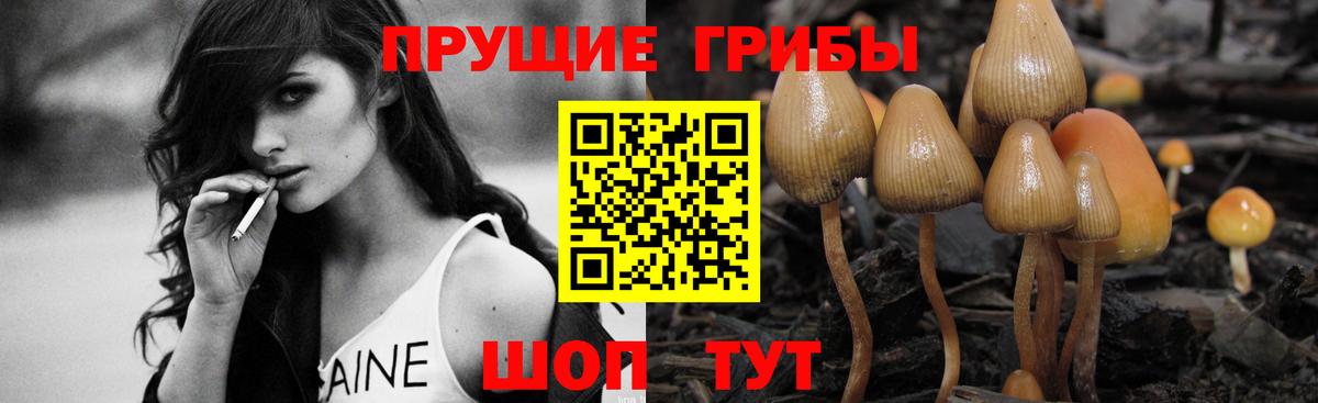 что такое наркотик  Вход с VPN  Псилоцибиновые грибы мицелий  Казань  Галлюциногенные грибы Magic Shrooms 